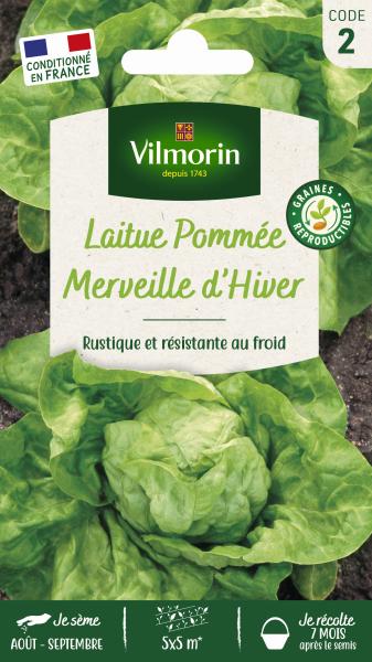 Potagères - Laitue d'Hiver Merveille d'Hiver - PACKAGING_RECTO